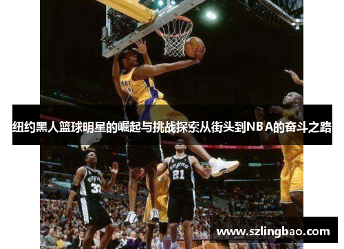 纽约黑人篮球明星的崛起与挑战探索从街头到NBA的奋斗之路